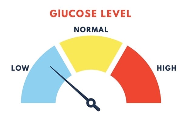 A gauge showing glucose levels. The meter points to the low range, with sections for low, normal, and high glucose levels. A gauge showing glucose levels. The meter points to the low range, with sections for low, normal, and high glucose levels.